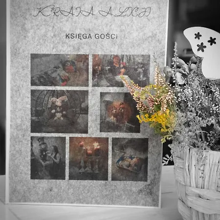 ,,kraina Alicji