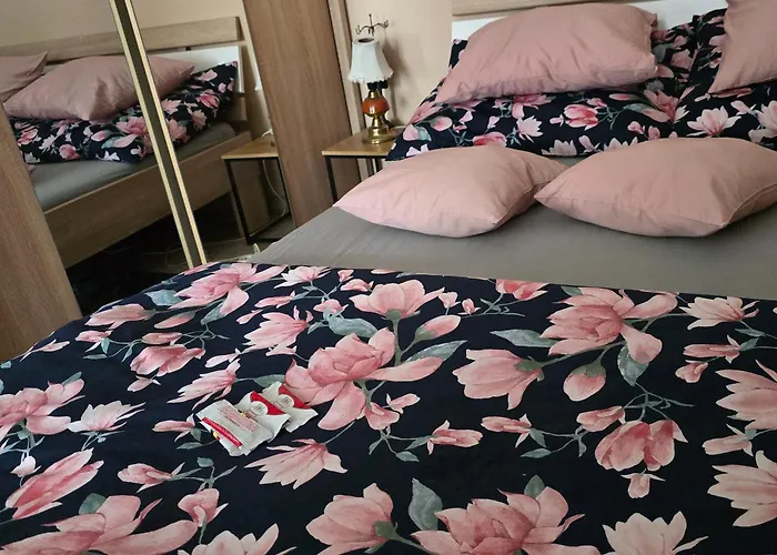 Apartamento ,,kraina Alicji